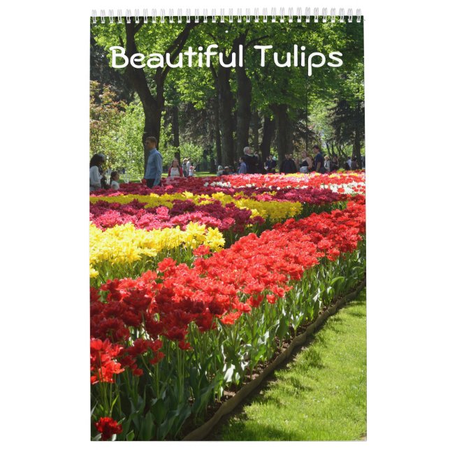 Calendrier 12 mois de belles tulipes (Protection)