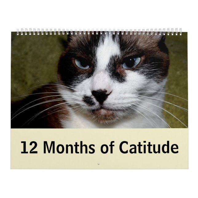 Calendrier 12 mois de Catitude (Protection)