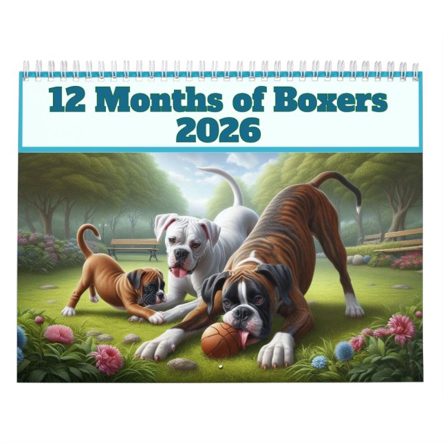 Calendrier 12 mois de chiens de boxe : année longue de chien  (Protection)