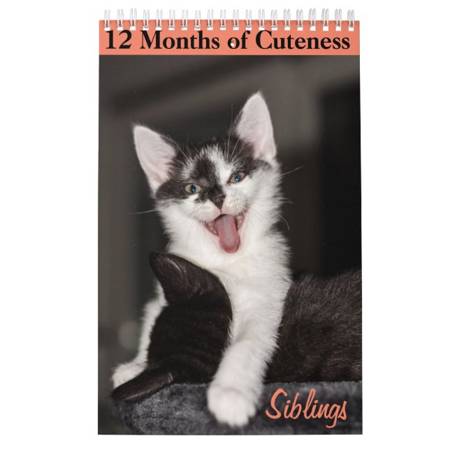 Calendrier 12 mois de cuteness Kittens frères et soeurs (Protection)