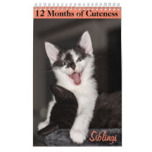 12 mois de cuteness Kittens frères et soeurs