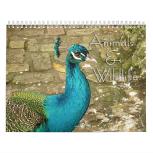 Calendrier 12 Mois de Photographie d'Animaux et de Faune