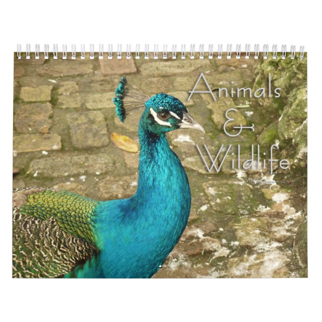Calendrier 12 Mois de Photographie d'Animaux et de Faune (Protection)