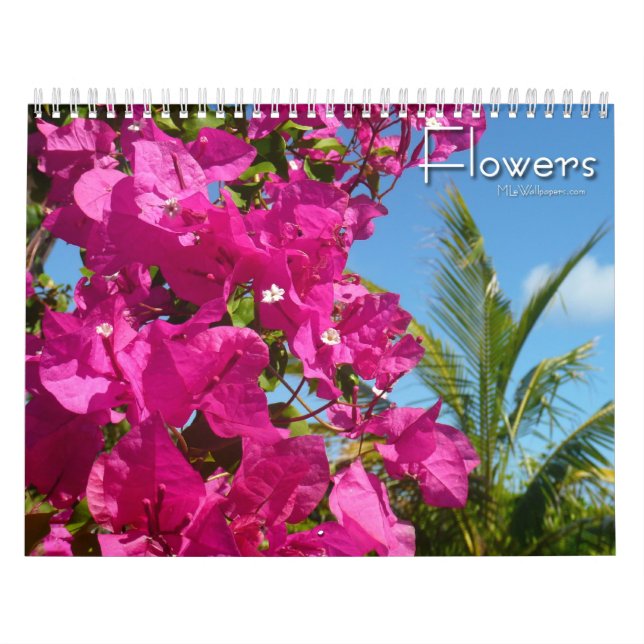 Calendrier 12 mois de photographie florale, 3e édition (Protection)