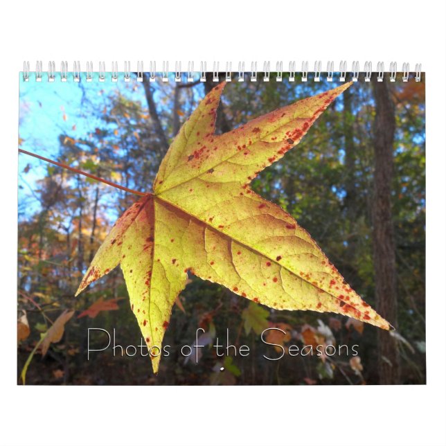 Calendrier 12 Mois de Photos des Saisons, 14e Édition (Protection)