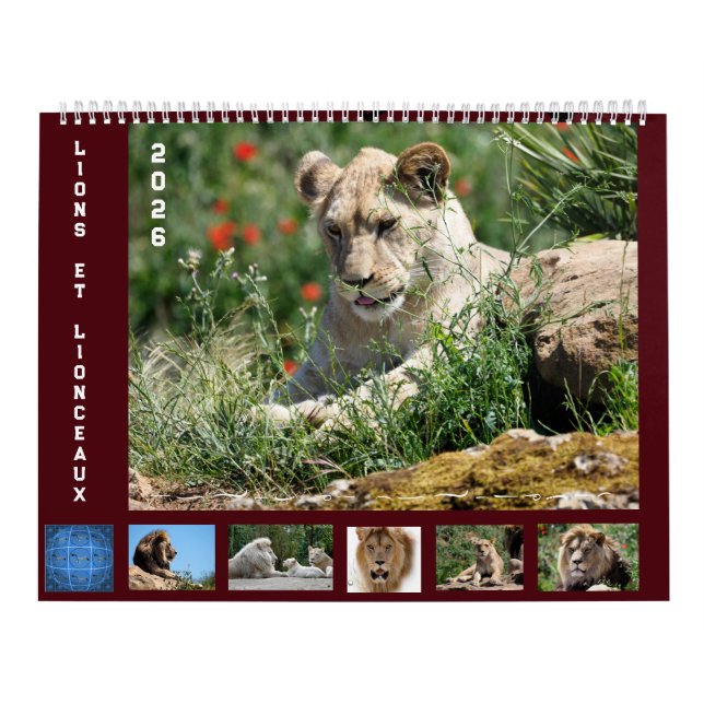 Calendrier 12 mois Famille Lion (Protection)