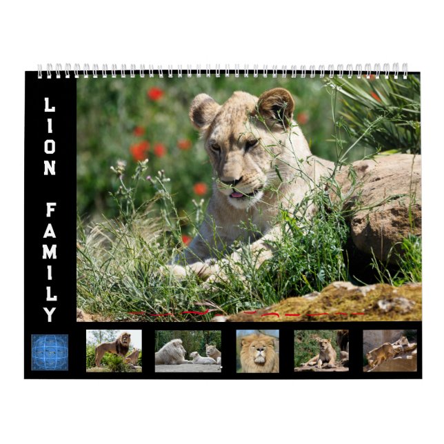 Calendrier 12 mois Famille Lion (Protection)
