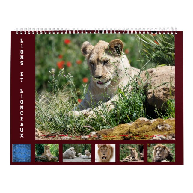 Calendrier 12 mois Famille Lion (Protection)