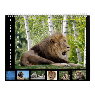 Calendrier 12 mois Famille Lion