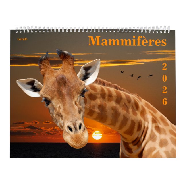 Calendrier 14 photos of mammals (Protection)