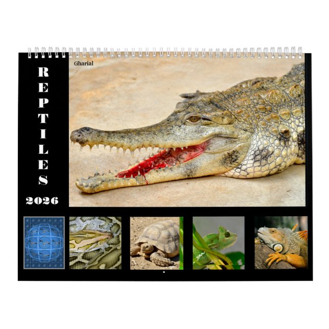 Calendrier 14 Photos of Reptiles Calendar (Protection)