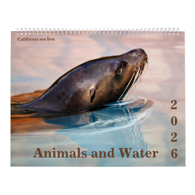 Calendrier 14 photos os animals and water (Protection)