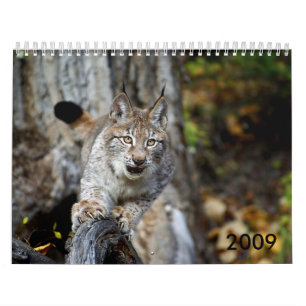 Calendrier 2009
