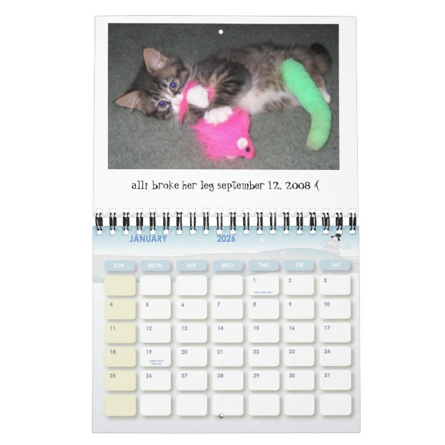 Calendrier 2009-2010 du jour d'Alli mini (Jan 2026)