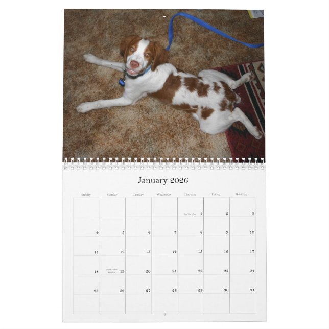 Calendrier 2009 de chiots de la Bretagne (Jan 2026)