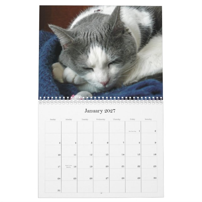 Calendrier 2010 avec le ventre de Guru (Jan 2027)