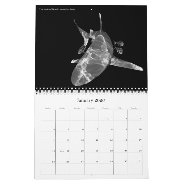 Calendrier 2010 Best Of DiversOne Photos Sous-Mari (Jan 2026)