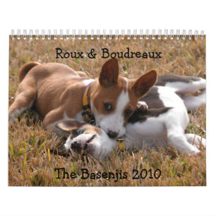 Calendrier 2010 de Basenji de photographie de