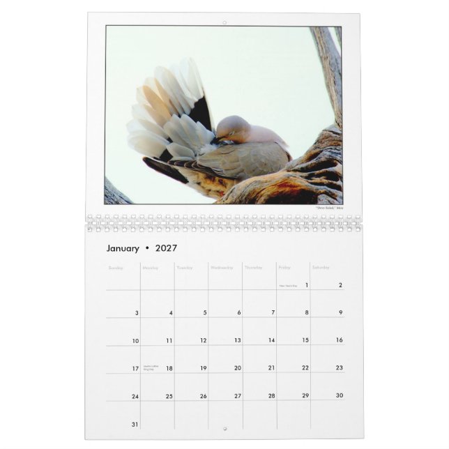 Calendrier 2010 de groupe de photographie de du (Jan 2027)
