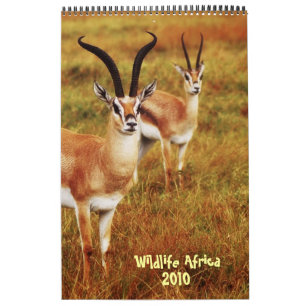 Calendrier 2010 de l'Afrique de faune - safari