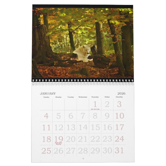 Calendrier 2010 de loup (Jan 2026)