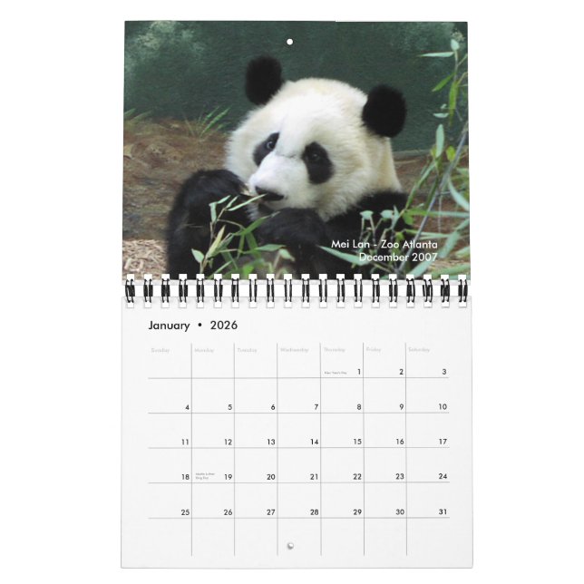 Calendrier 2010 de panda (Jan 2026)