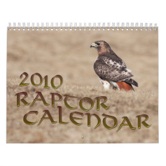 Calendrier 2010 de Raptor