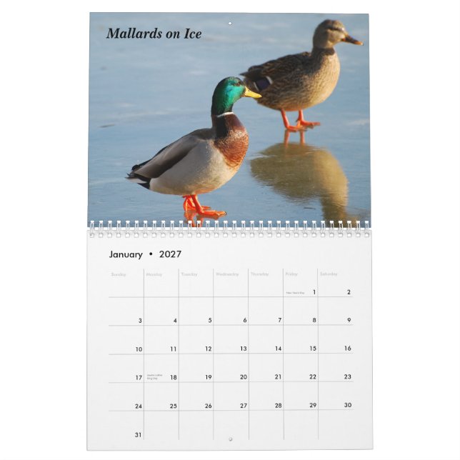 Calendrier 2010 d'oiseau (Jan 2027)