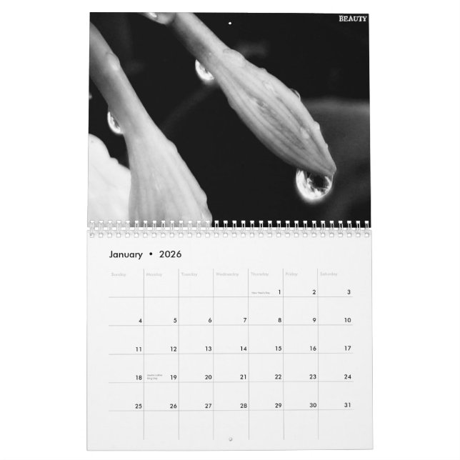 Calendrier 2010 noir et blanc (Jan 2026)