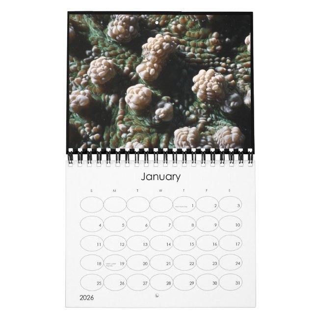 calendrier 2010 sous-marin (Jan 2026)