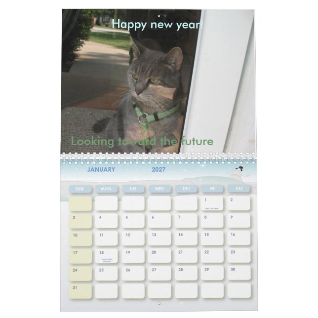 Calendrier 2010 : Une année avec des chats (Jan 2027)