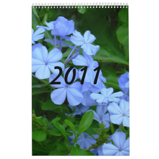 Calendrier 2011