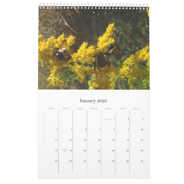 Calendrier 2011 (Jan 2026)