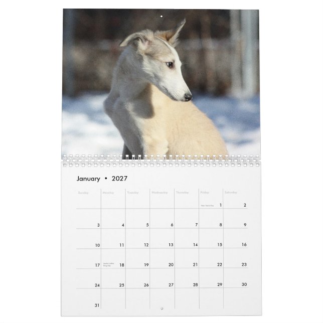 Calendrier 2011 chiots de soie de Windhound (Jan 2027)
