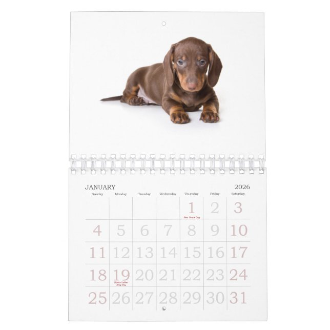 Calendrier 2011 de chiot de teckel (Jan 2026)