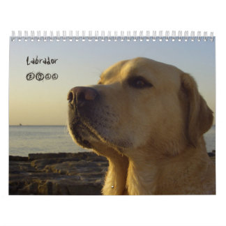 Calendrier 2011 de labrador retriever