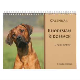 Calendrier 2011 de Rhodesian Ridgeback