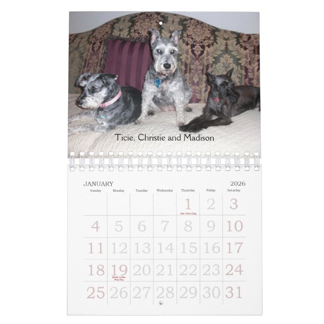 Calendrier 2011 de SRM (Jan 2026)