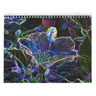 Calendrier 2011 génial