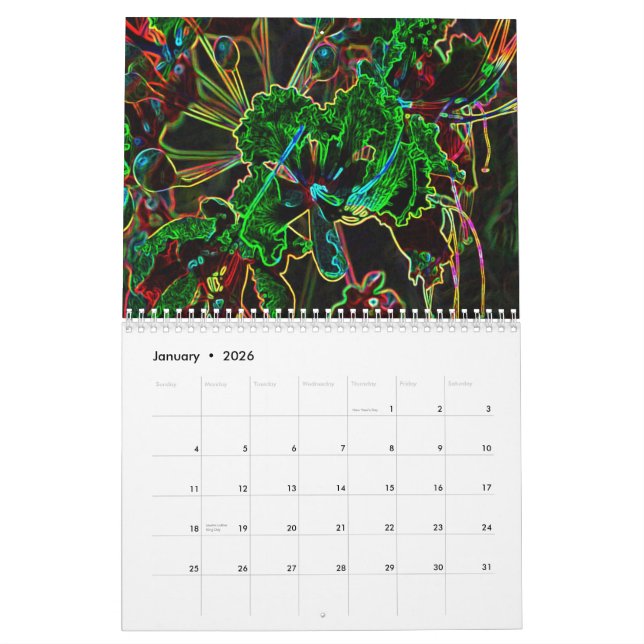 Calendrier 2011 génial (Jan 2026)