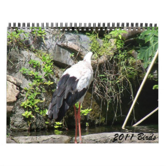 Calendrier 2011 oiseaux