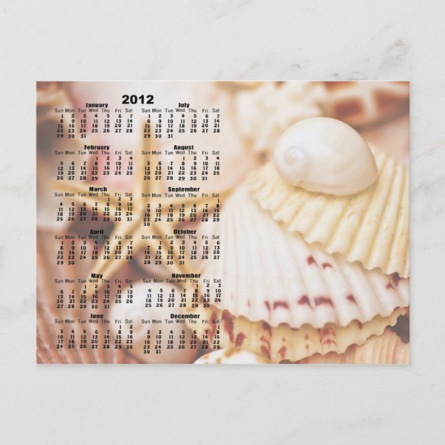 Calendrier 2012 - Carte Postale Seashell (Devant)