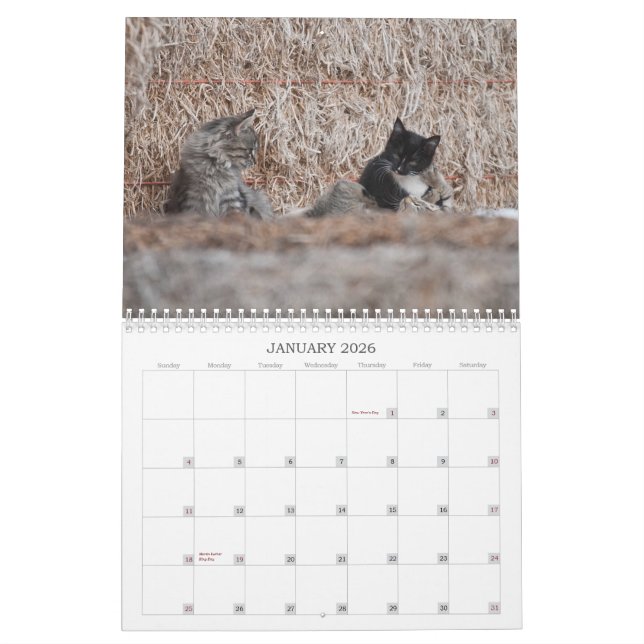 Calendrier 2012 chatons de ranch de puits (Jan 2026)