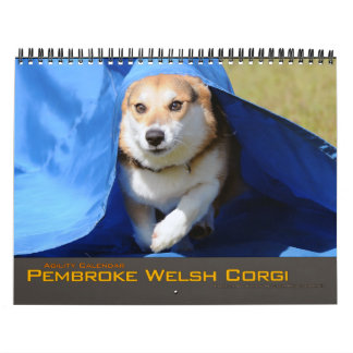 Calendrier 2012 d'agilité de corgi de Gallois de
