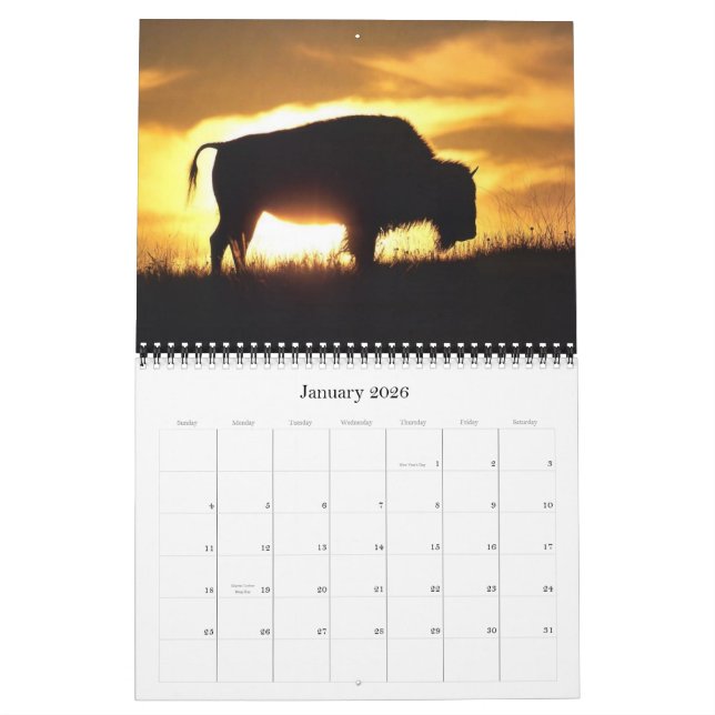 Calendrier 2012 de Buffalo (Jan 2026)