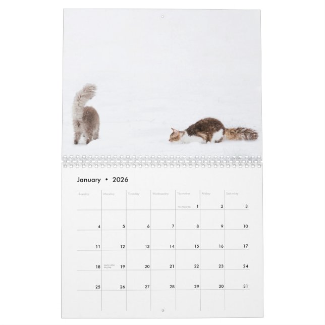 Calendrier 2012 de chat (Jan 2026)