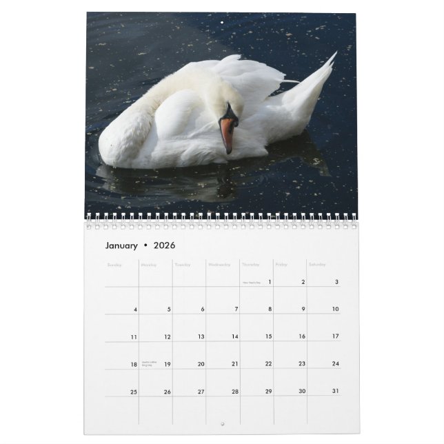 Calendrier 2012 de cygne (Jan 2026)