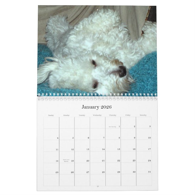 Calendrier 2012 de délivrance de chiot de Havanese (Jan 2026)