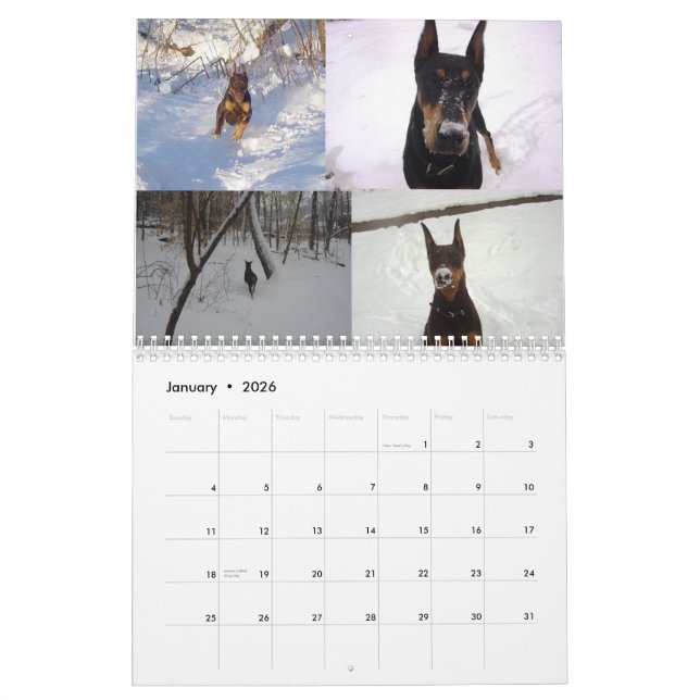 Calendrier 2012 de dobermann encore (Jan 2026)