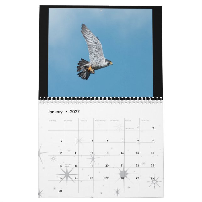 Calendrier 2012 de faucon pérégrin de Rochester (Jan 2027)